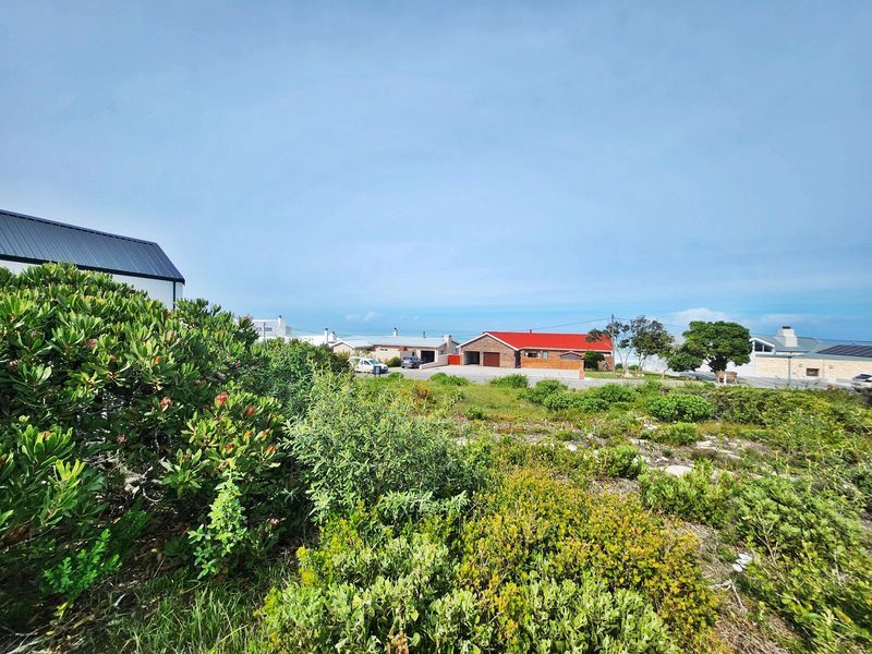 A view of a vacant residential plot featuring native coastal vegetation with established neighborhood homes visible in the background.