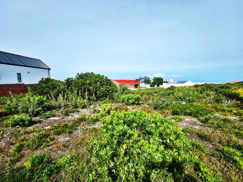 A view of a vacant residential plot featuring natural coastal vegetation and surrounding neighborhood homes.