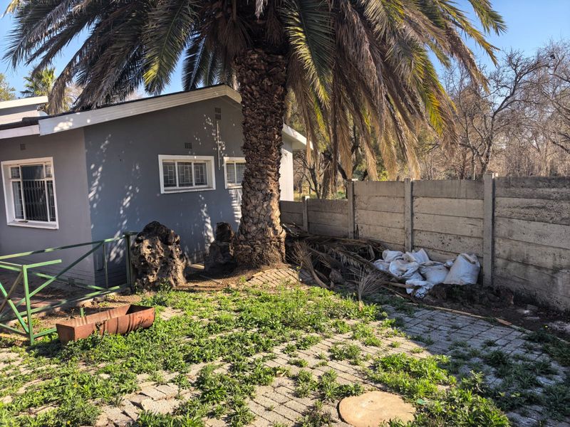Rear exterior view of the property featuring a paved area, precast concrete boundary wall, and established palm tree, requiring general garden maintenance.