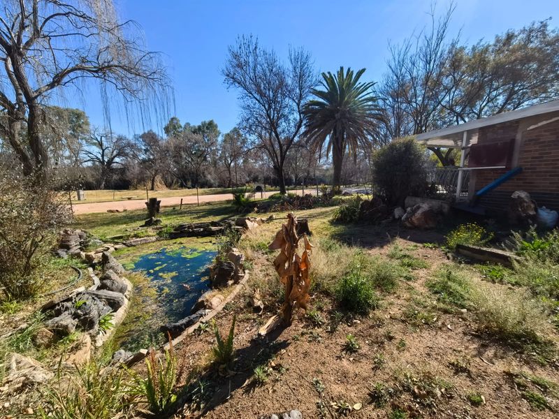 Spacious rear garden featuring a stone-lined pond, mature trees, and direct access to a covered patio area, offering significant potential for landscaping improvements.