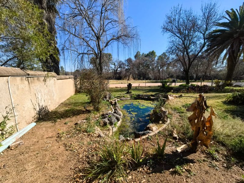 A garden area featuring a stone-lined pond and a boundary wall, set against a backdrop of mature trees and open land.