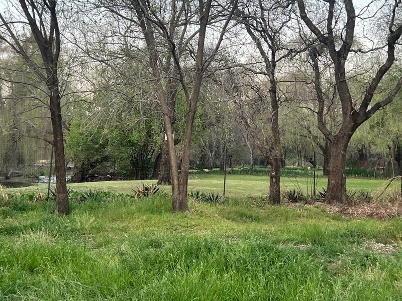 A spacious, natural garden area featuring mature trees and established lawn, providing a serene outdoor setting.