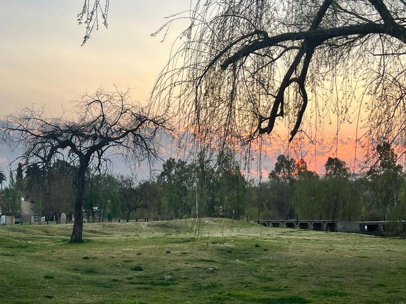 A scenic view of a landscaped garden area with mature trees at sunset.