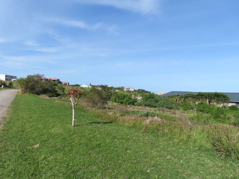 A view of the vacant residential land featuring a grass verge and natural vegetation, situated in a developed neighborhood.