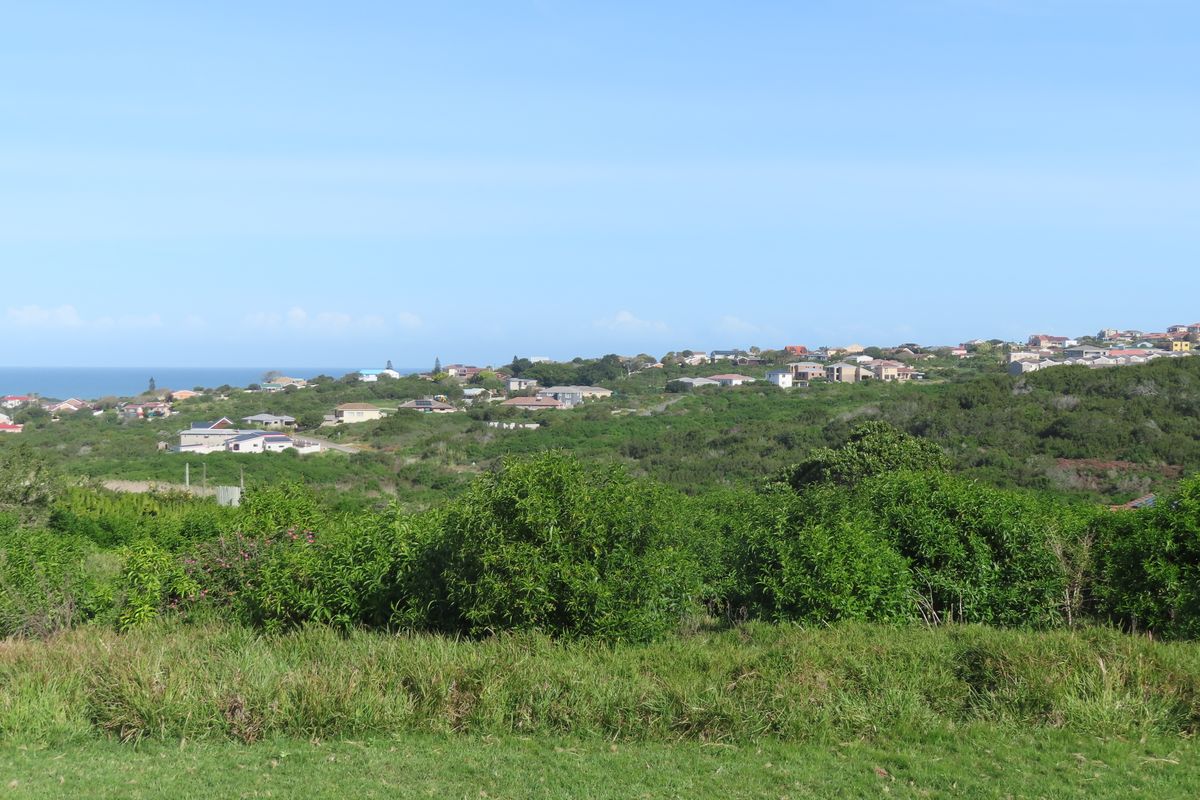 A scenic elevated view overlooking a coastal residential area with lush green vegetation and distant ocean horizon.