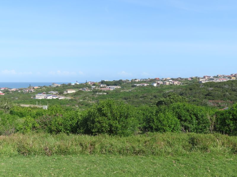 A scenic elevated view overlooking a coastal residential area with lush green vegetation and distant ocean horizon.