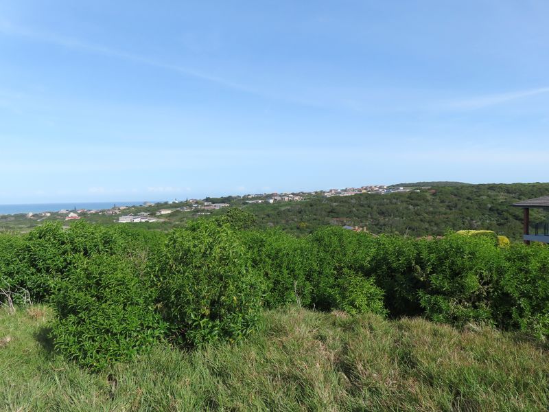A scenic elevated view overlooking coastal vegetation and distant residential developments under a clear blue sky.