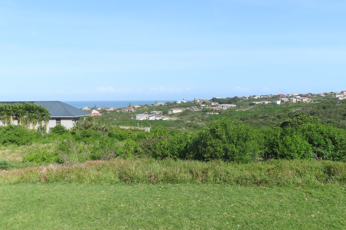A scenic view overlooking a coastal residential area with lush green vegetation and distant ocean horizon.