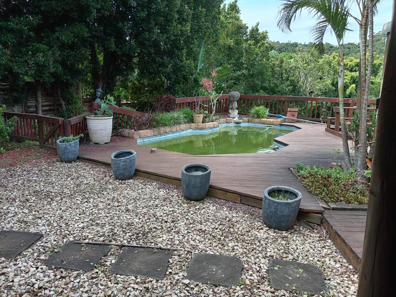 Outdoor pool area featuring a timber deck, balustrade, and stone paving, currently requiring maintenance and pool water treatment.