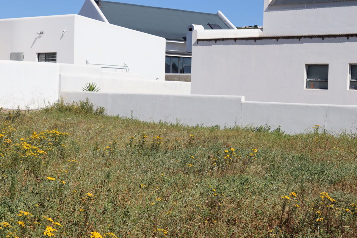 A view of a vacant residential plot featuring natural vegetation, bordered by white rendered boundary walls and adjacent modern residential structures.