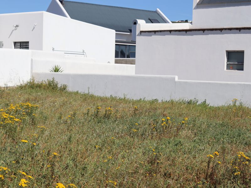 A view of a vacant residential plot featuring natural vegetation, bordered by white rendered boundary walls and adjacent modern residential structures.