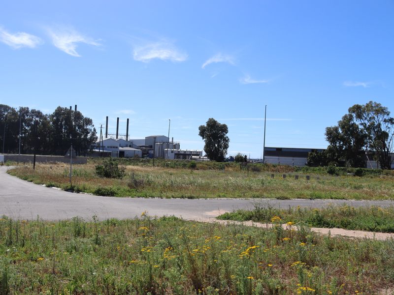A view of a vacant residential plot featuring paved road access and surrounding natural vegetation.