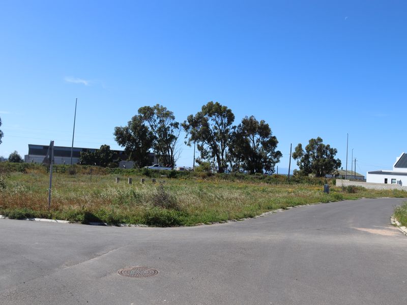 A vacant residential plot situated on a corner lot with established road access and surrounding vegetation.