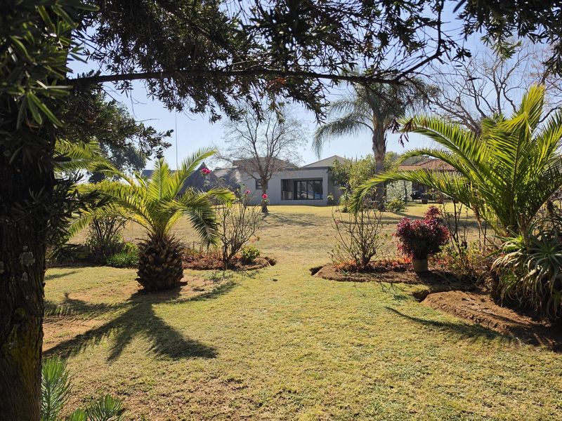 A spacious, well-maintained garden featuring mature trees, palm plantings, and a clear view toward the rear elevation of the house.