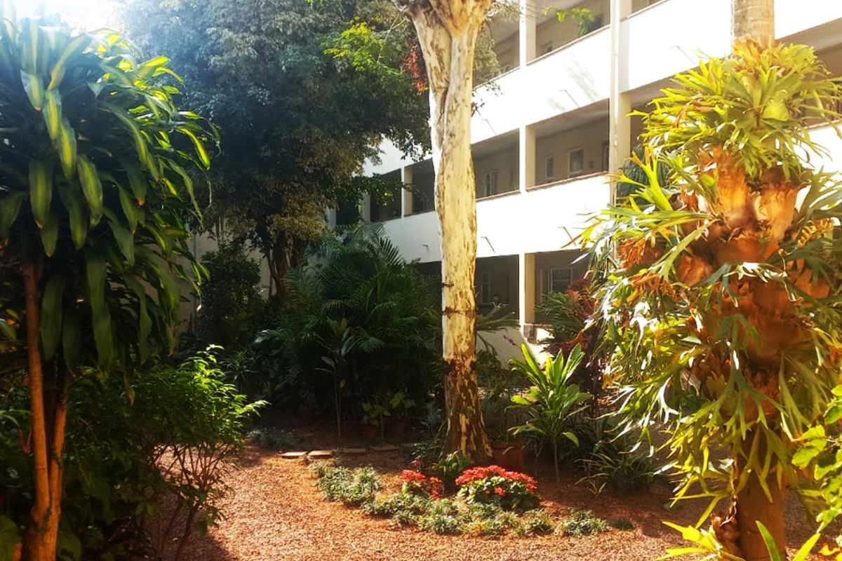 A view of a landscaped garden area situated between the rear facades of a multi-story apartment complex.
