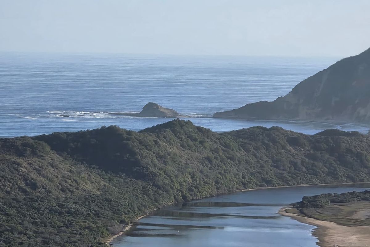 A scenic elevated view of the coastline, featuring a river estuary meeting the ocean and surrounding natural landscape.