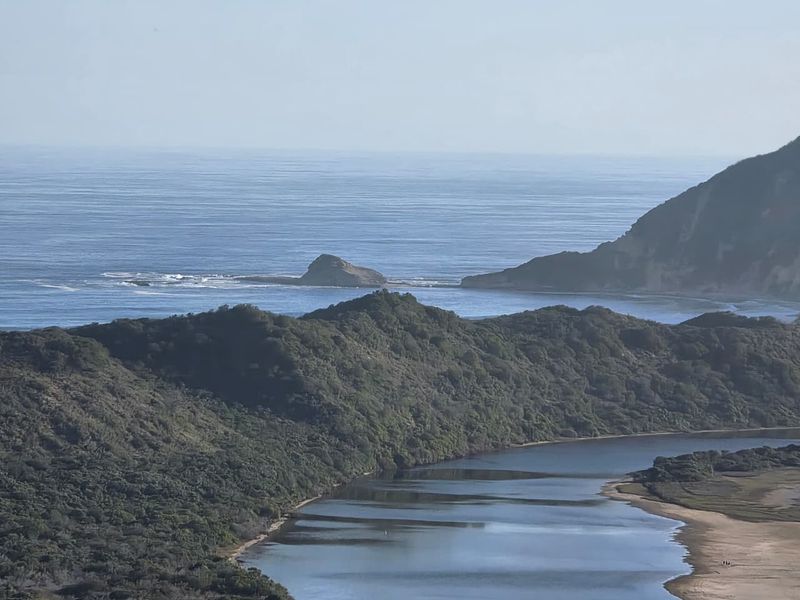 A scenic elevated view of the coastline, featuring a river estuary meeting the ocean and surrounding natural landscape.