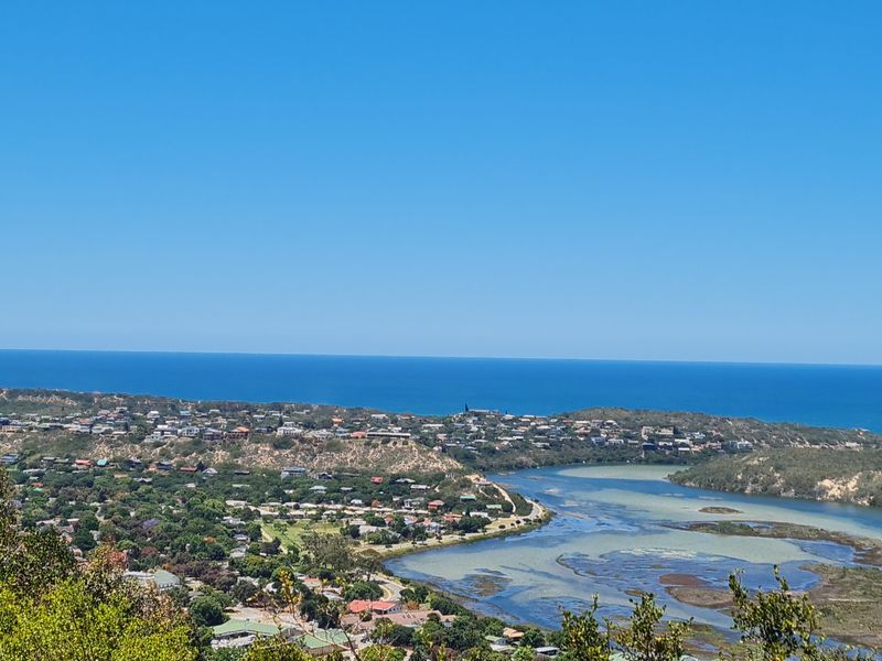 A panoramic elevated view overlooking the coastal landscape, estuary, and residential neighborhood towards the ocean.