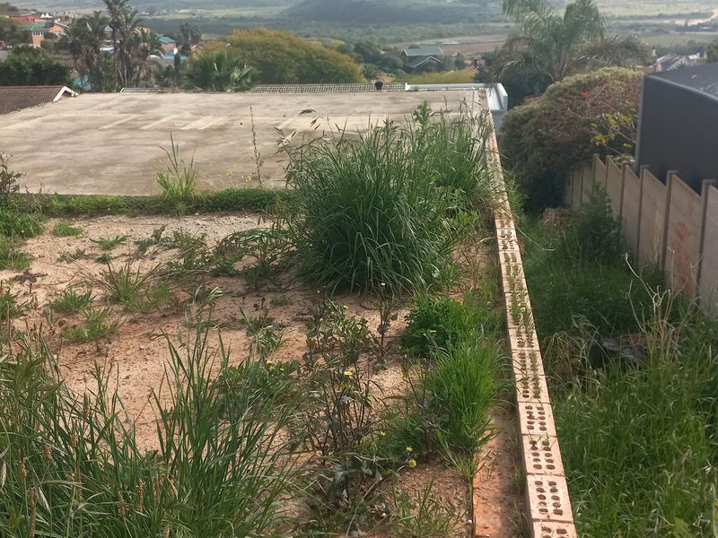 A view of a vacant residential plot featuring a concrete slab, perimeter precast walling, and overgrown vegetation with surrounding neighborhood views.