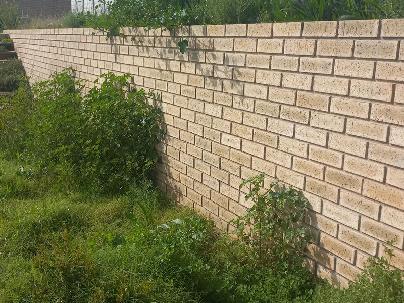 A view of a residential garden featuring a long brick retaining wall and a set of brick stairs leading to an upper level.
