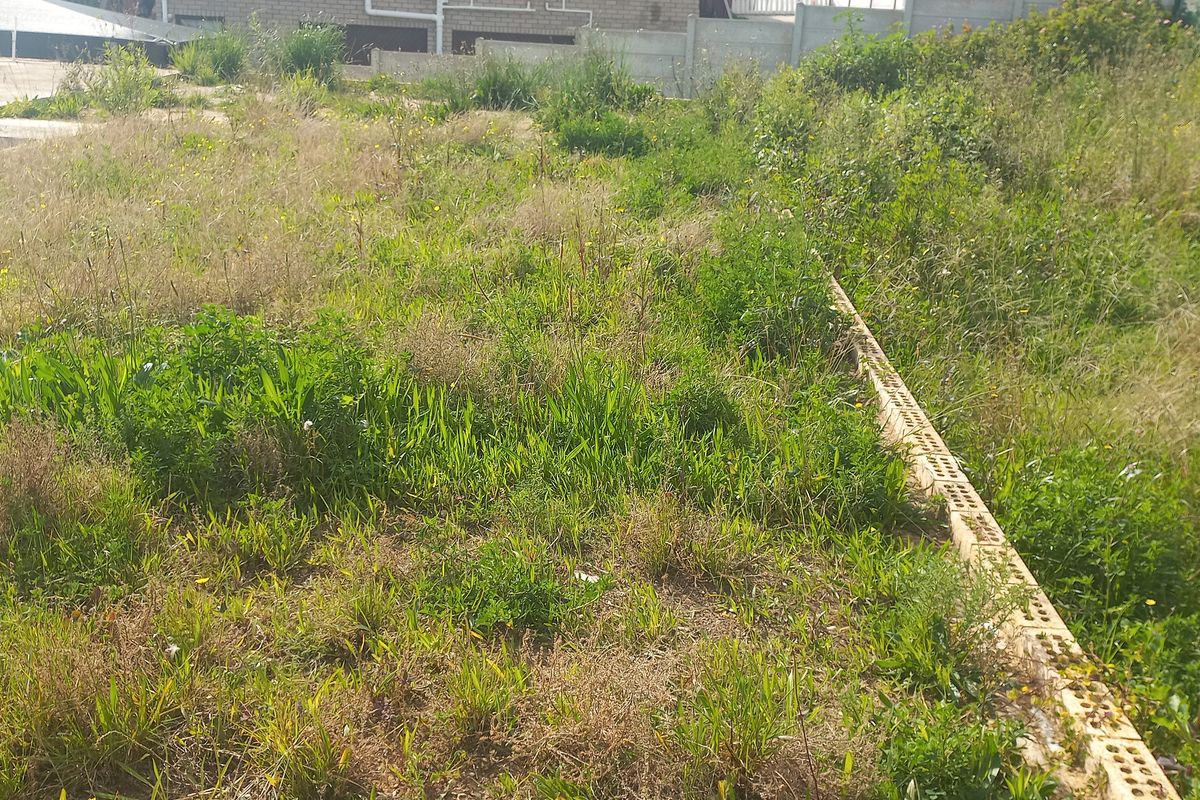 A view of a vacant residential plot featuring overgrown grass and a low brick retaining wall.