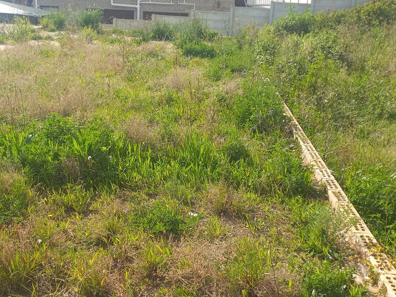 A view of a vacant residential plot featuring overgrown grass and a low brick retaining wall.