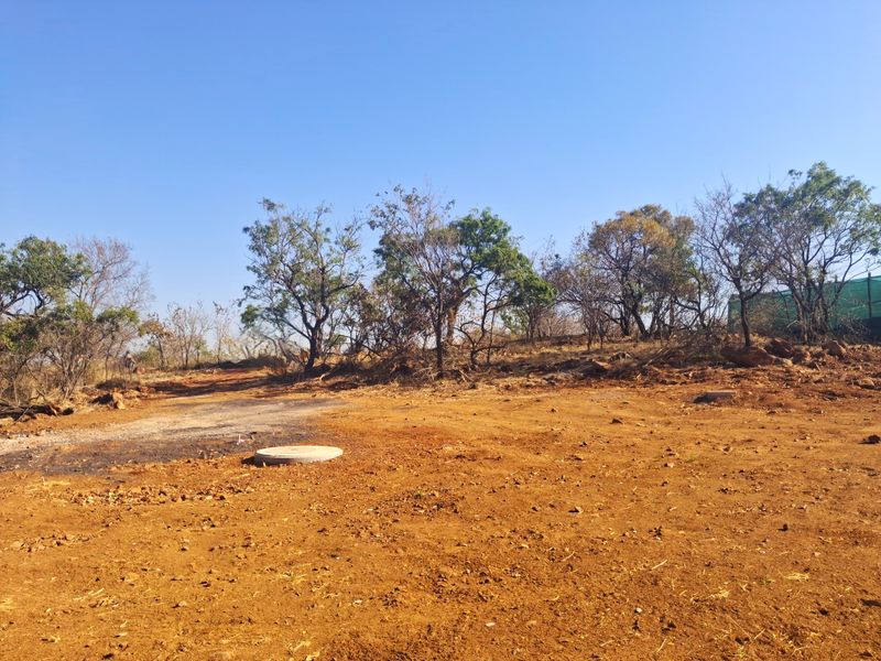 A view of a vacant residential plot featuring cleared earth, native trees, and visible utility access points.