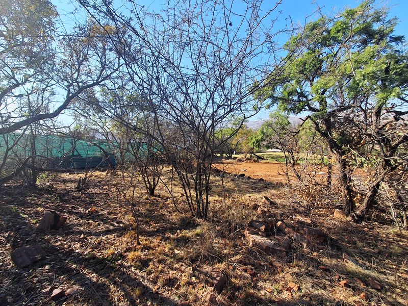 A view of a vacant residential plot featuring mature trees and natural ground cover, suitable for future development.