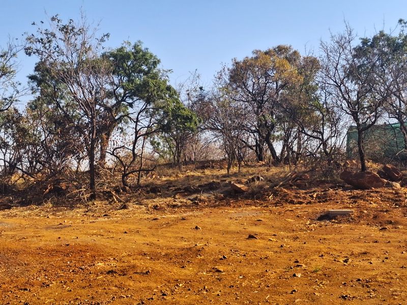 A view of a vacant residential plot featuring natural rocky terrain and established mature trees.