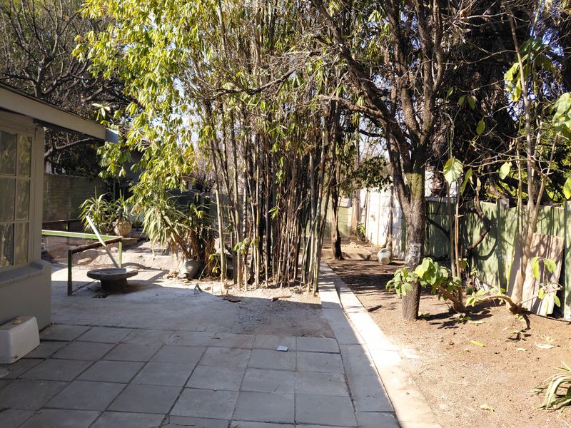 Rear garden area featuring a paved patio space, mature bamboo and trees, and perimeter fencing.