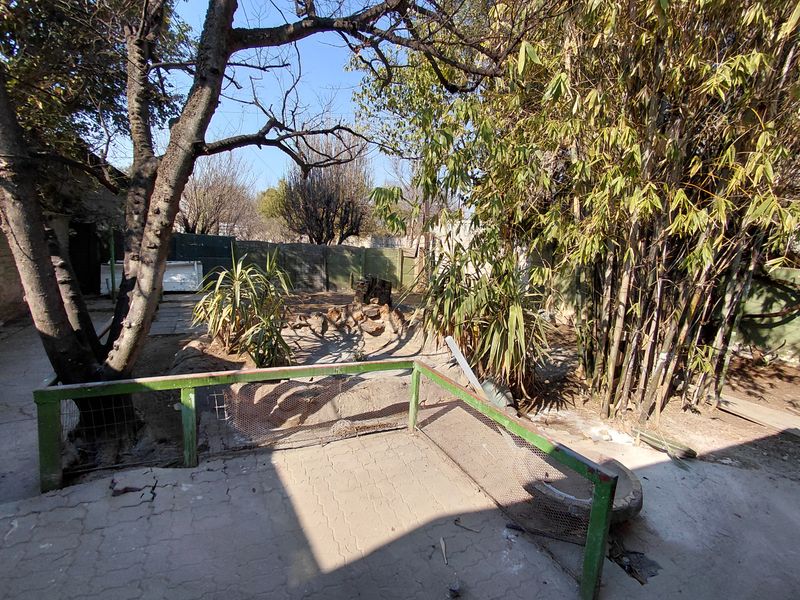 A private garden area featuring mature trees, paved sections, and boundary walling, currently requiring maintenance and landscaping to improve its overall appeal.