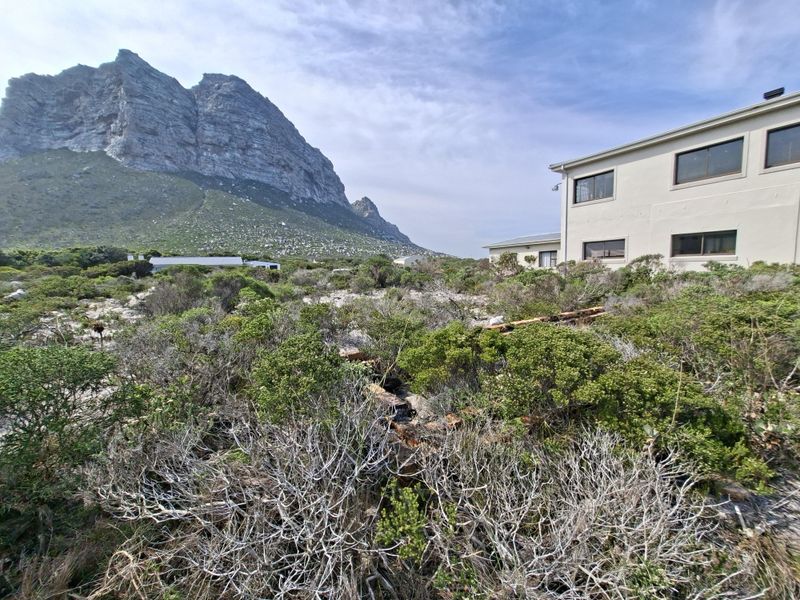A view of the rear exterior of the property featuring natural coastal vegetation and a prominent mountain backdrop.