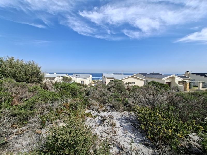 A scenic view of the coastal landscape featuring native vegetation in the foreground and residential properties in the background.