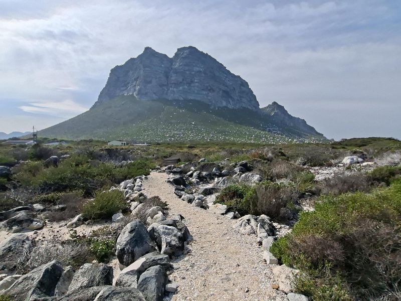 A scenic view of the natural landscape featuring a prominent mountain backdrop and native coastal vegetation on the vacant residential land.