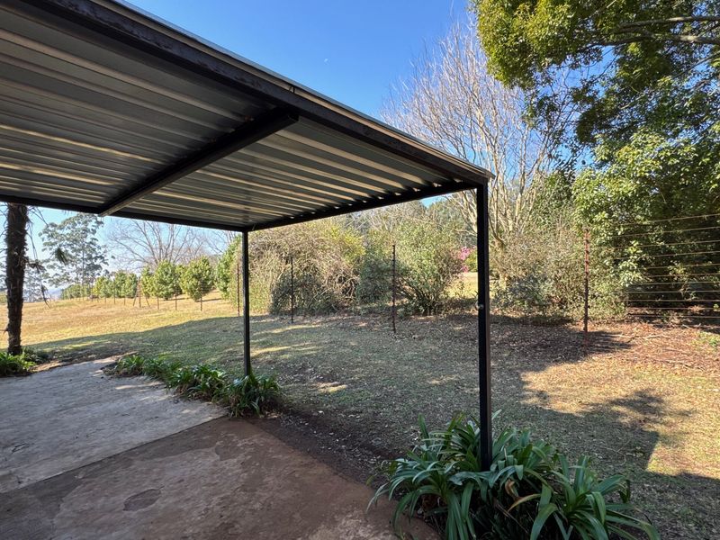 A covered outdoor patio area featuring a corrugated metal roof, steel support structure, and concrete flooring, overlooking a spacious garden area.