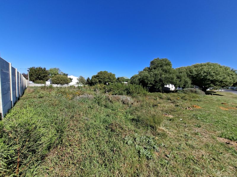 A vacant residential plot featuring natural vegetation and a precast concrete boundary wall along the side perimeter.