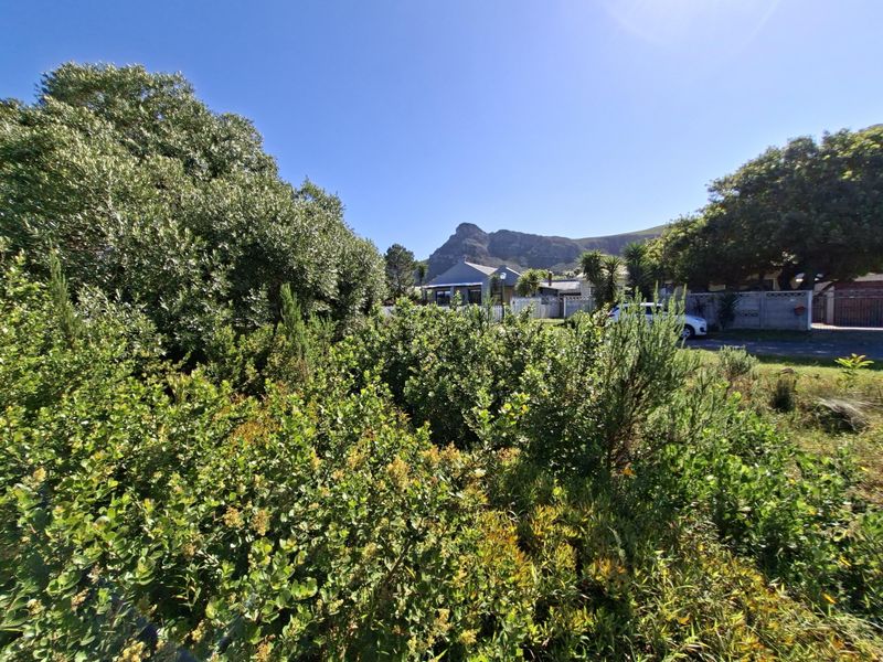 A view of a vacant residential plot featuring established vegetation and a boundary wall, with surrounding neighborhood homes and mountain views in the background.