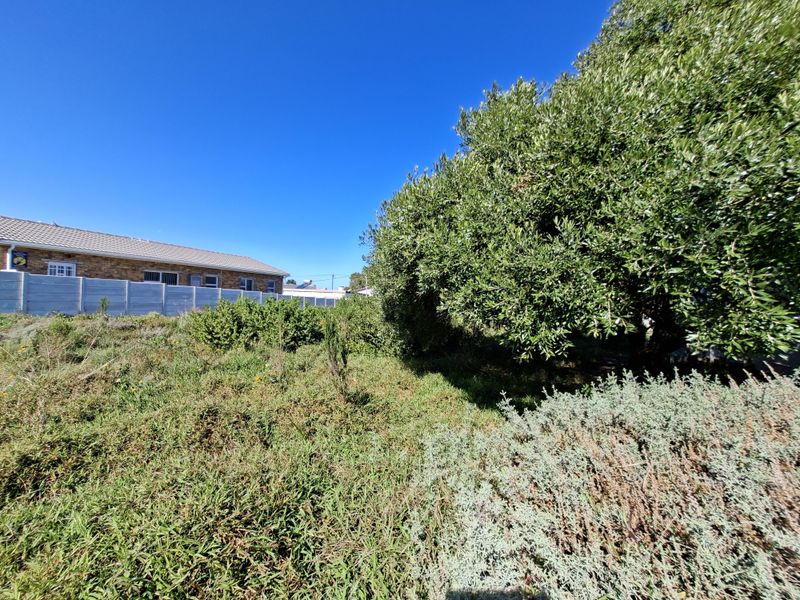 A view of a vacant residential plot featuring established trees and boundary fencing, offering a blank canvas for future development.