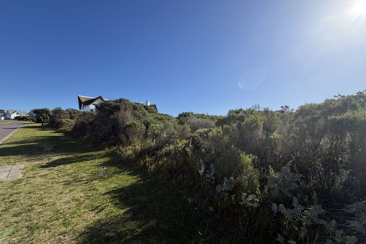 A view of a residential plot featuring natural coastal vegetation and a grass verge under a clear blue sky.