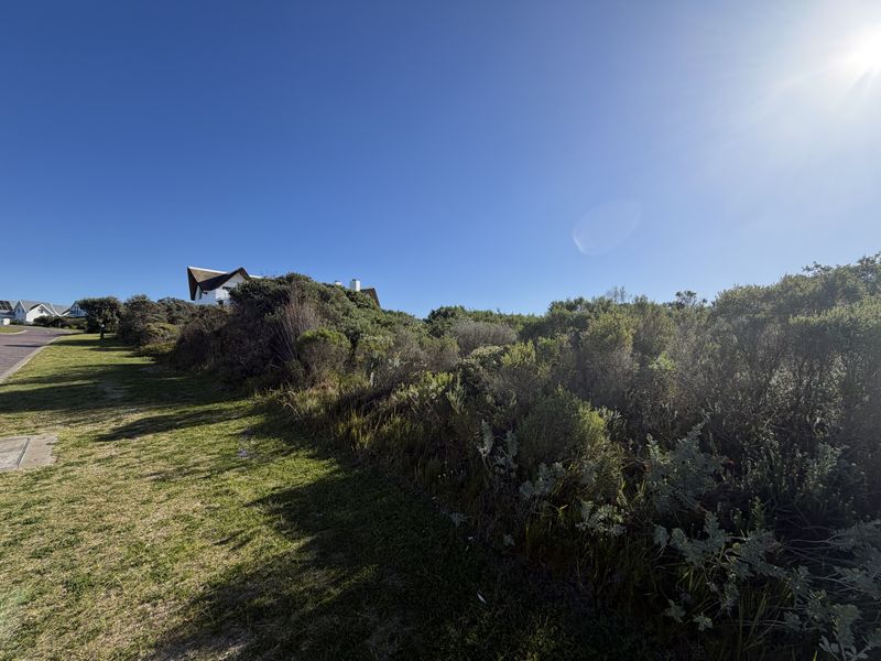 A view of a residential plot featuring natural coastal vegetation and a grass verge under a clear blue sky.