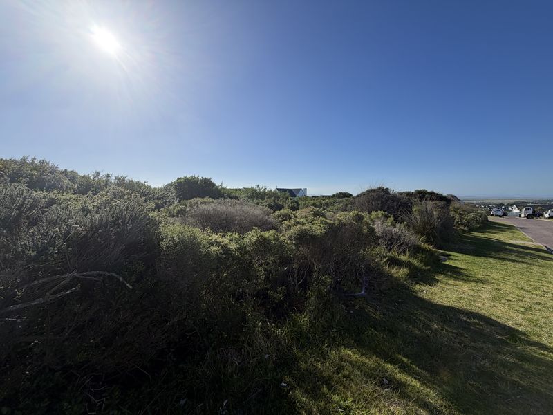 A view of a vacant residential plot featuring natural coastal vegetation and a grass verge under a clear blue sky.