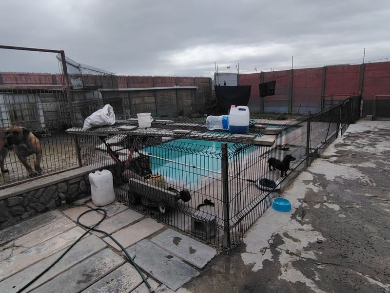 Outdoor pool area featuring a swimming pool enclosed by wire fencing, set within a paved yard with perimeter boundary walls.
