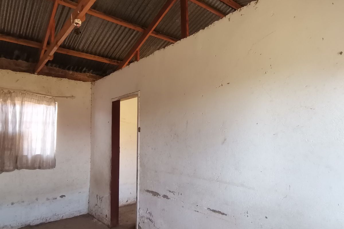 An unfinished interior room featuring exposed timber roof trusses, corrugated metal roofing, and plastered walls requiring cosmetic repair and finishing.