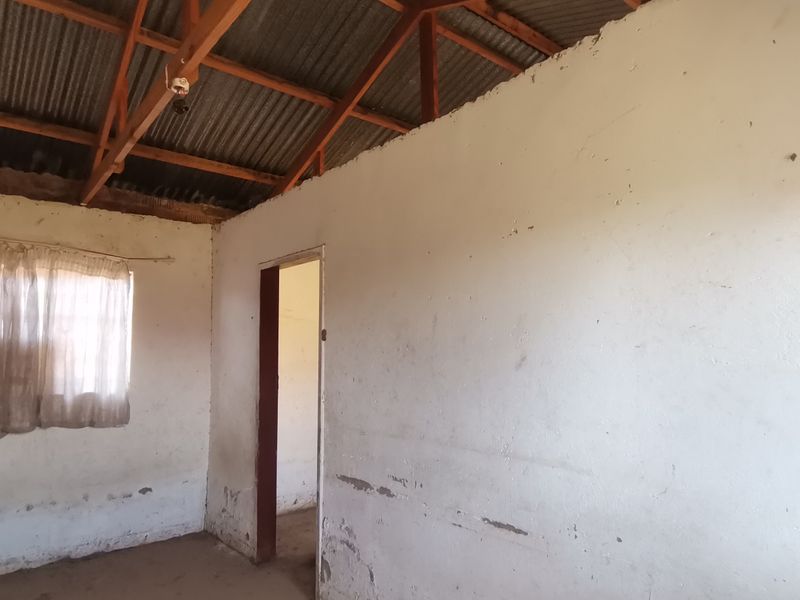 An unfinished interior room featuring exposed timber roof trusses, corrugated metal roofing, and plastered walls requiring cosmetic repair and finishing.
