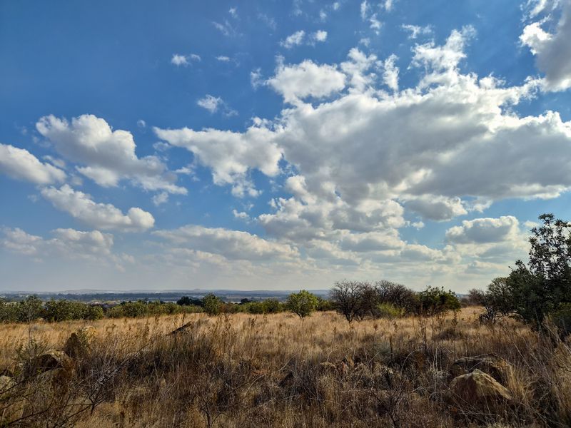 A scenic view of the vacant residential land featuring natural vegetation and open landscape under a bright blue sky.