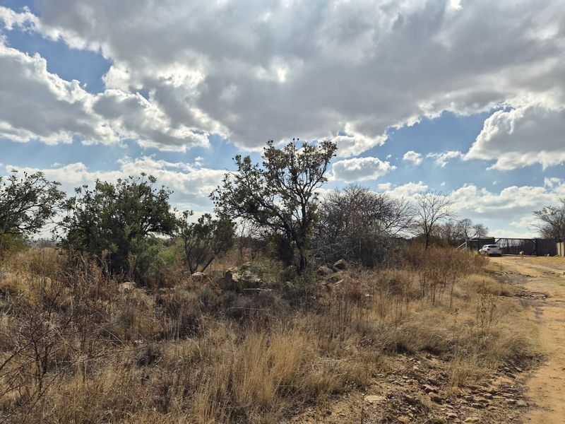 A view of a vacant residential plot featuring natural vegetation, dry grass, and an unpaved access track under a cloudy sky.
