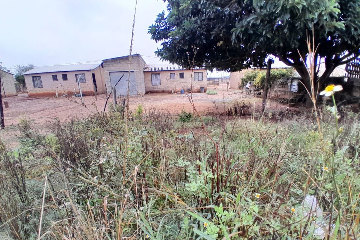 Rear view of a single-story house featuring a metal roof, garage door, and an expansive, unpaved yard with overgrown vegetation.