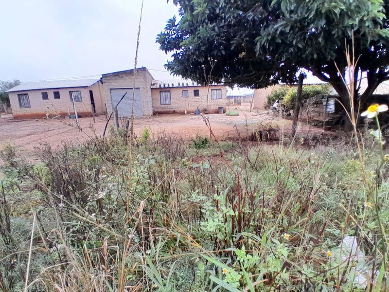 Rear view of a single-story house featuring a metal roof, garage door, and an expansive, unpaved yard with overgrown vegetation.