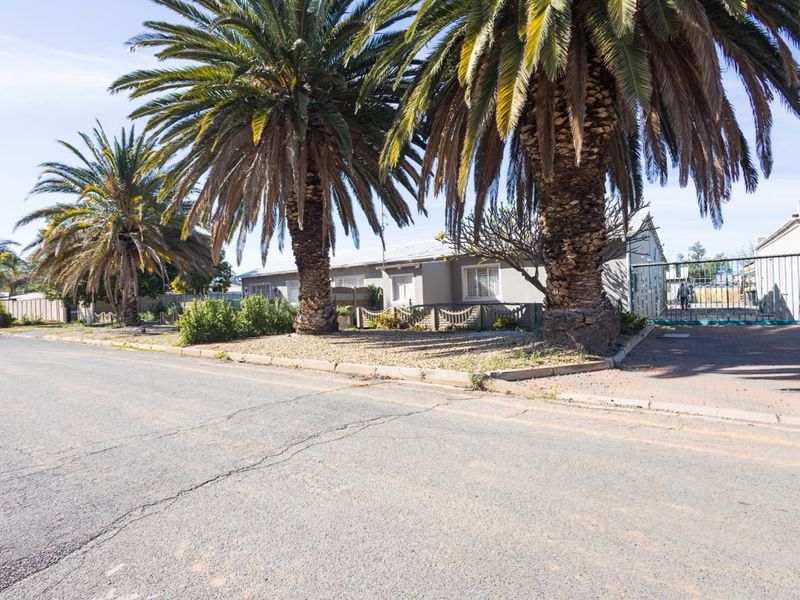 Street view of the property frontage featuring a paved driveway, secure metal gate, and mature palm trees along the roadside.
