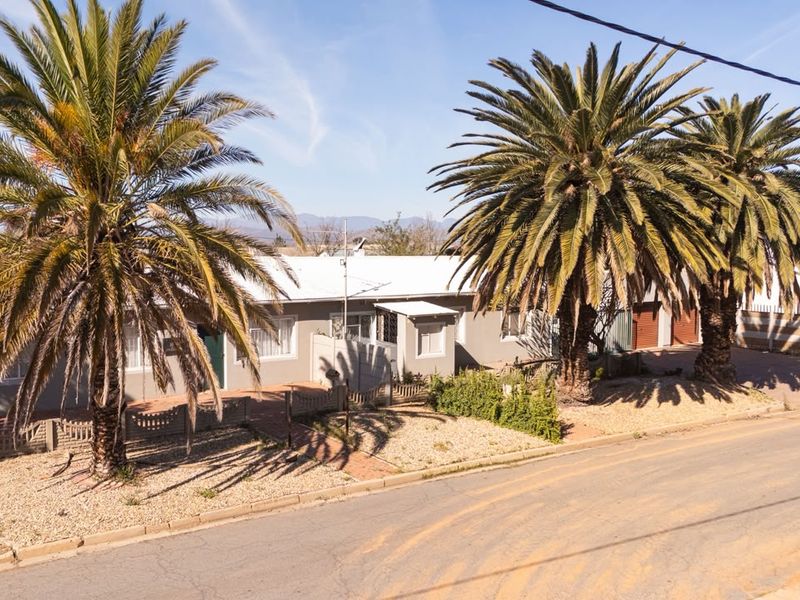 Front exterior view of a single-story house featuring a metal roof, established palm trees, and a paved driveway area.